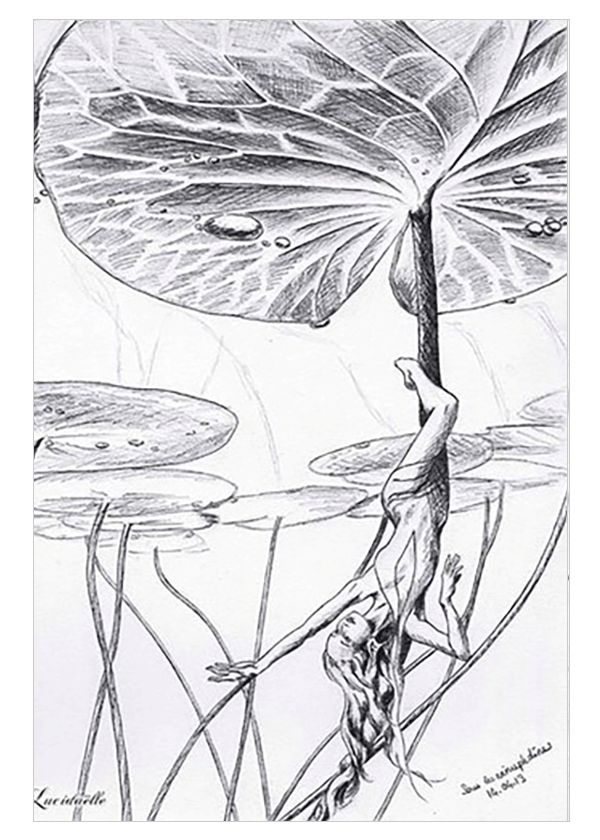 Illustration Ondine - Water Lily